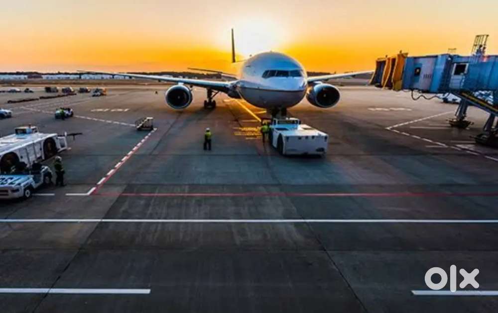 Candidate Required for airport job