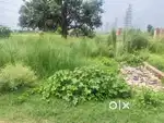 Urgent , plot for sell, tahshil road sahjanwa, near केदार की मड़ई