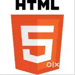 Web Programming Classes