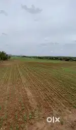 Sasan Gir main Road touch land available in prime location.