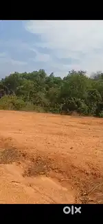 60 cents land for rent