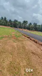 Low budget dtcp plot for sale in kinathukadavu Near Akshaya college