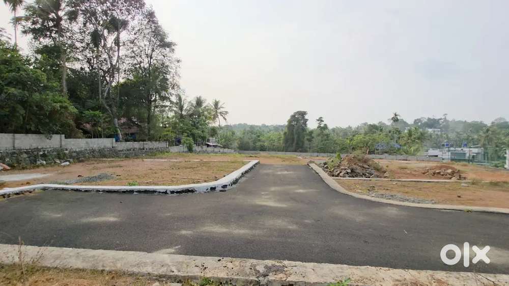 Plot for sale,near Chottanikkara
