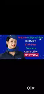 Urgent jobs available now for airport