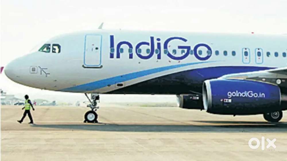 Indigo Airlines Jobs /Vacancy for Airport Ground Staff / Driver / Crew