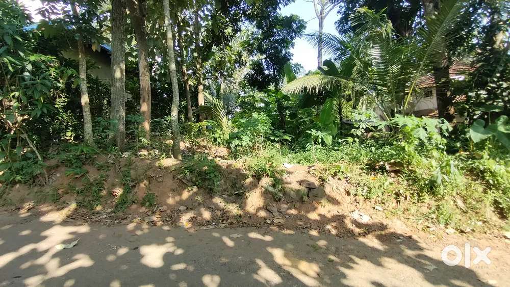 5 cent plot for sale