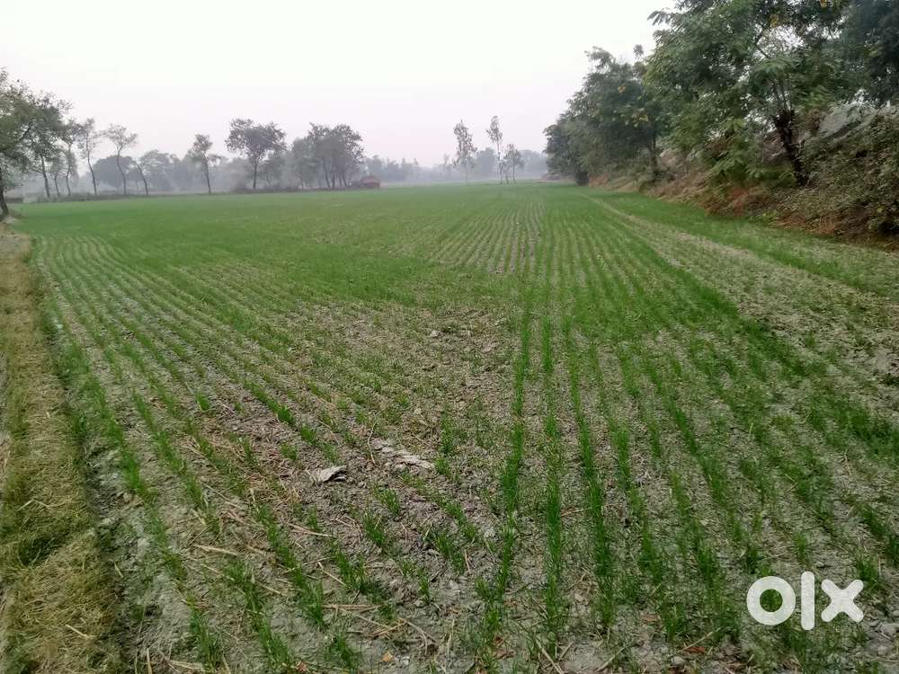 Jamin brahman ki hai koi dikkat ki baat nhi hai