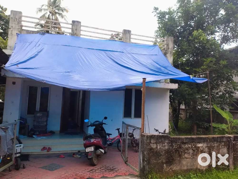 Near thrissur kuttur school