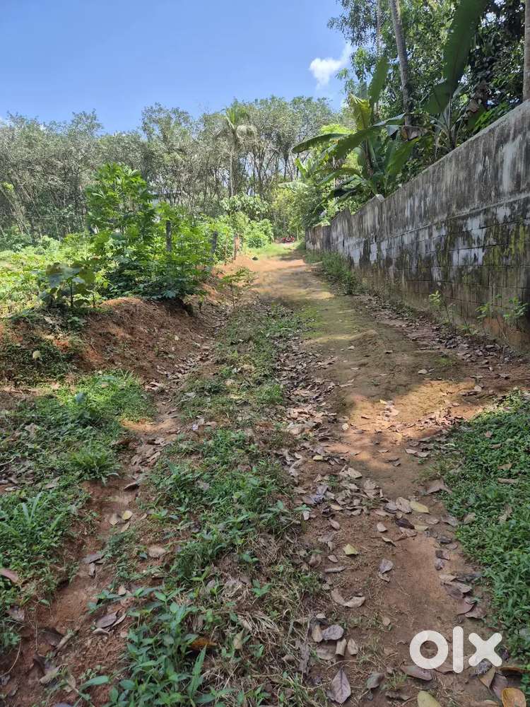 20 cent plot for sale