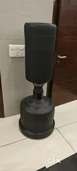 Everlast punching bag