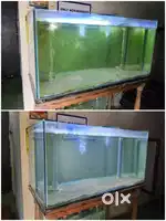 Fish tank cleaning
