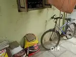 Blue  cycle