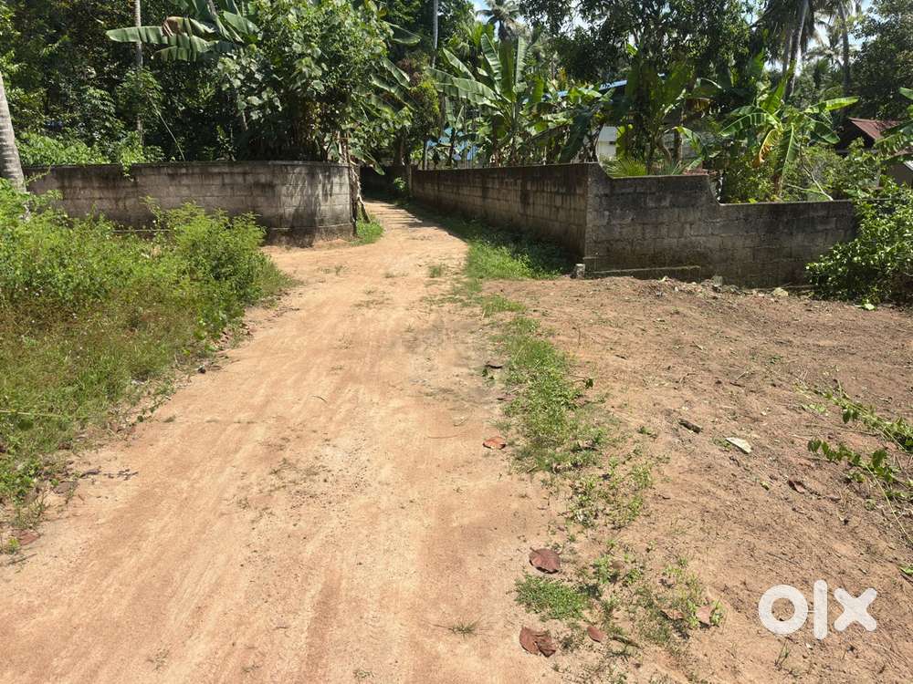 Property for sale (5cent)3.25lakh/cent.