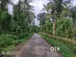 1.8 Acre Agricultural Plot for Sale – Madal, Pulpally, Wayanad