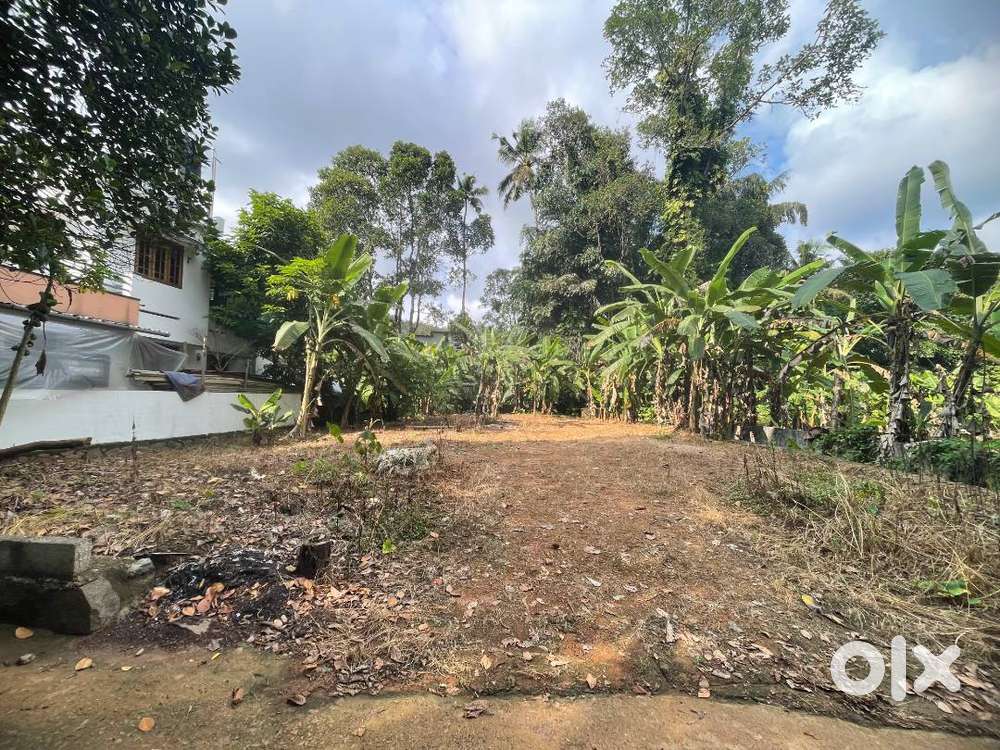 10cent House plot for sale near Manarcad junction, 450 m from junction