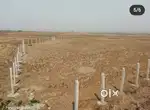 Commercial Plots