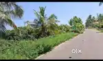 Kanakpura, Bengaluru south - 3 acre farm land for sale