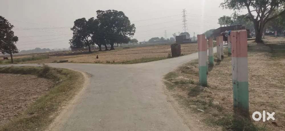 CJQH+XHF Jawahir farm dhiver family, Gandhaunna, Uttar Pradesh