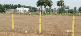 Pottipadu plots for sale