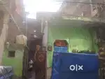 Jaitpur Ekta vihar cosmos public school wali gai