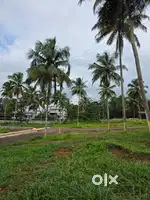 9 Cent house plot for sale in Palakkad