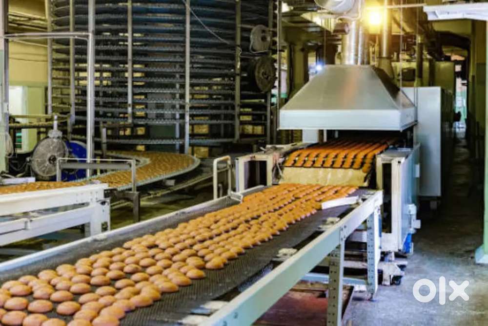 Wanted packing helpers &lt; 6 am to 2 or 4 pm to 1