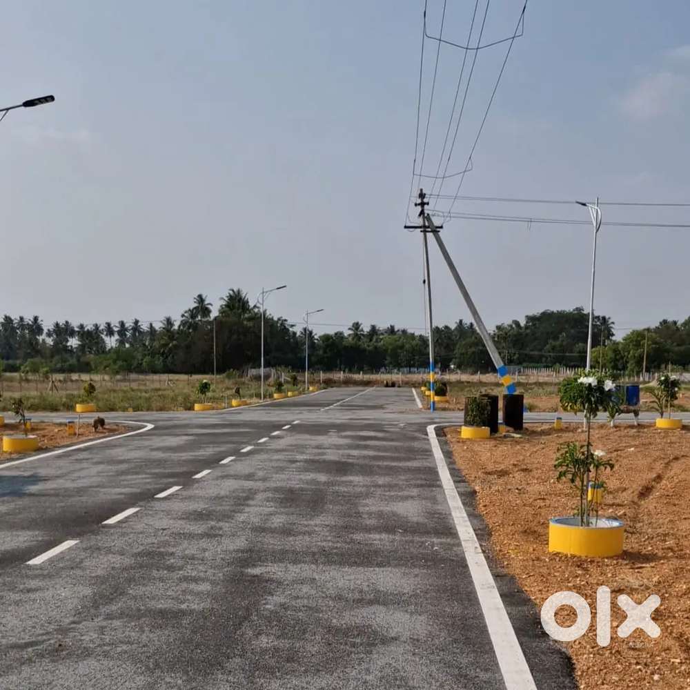 Lowbuget DTCP plots near mettupalayam road at periyanaickenpalayam