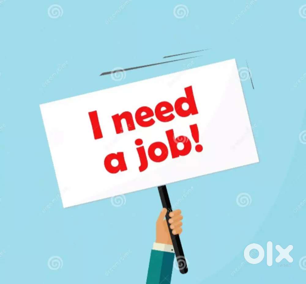 Wanted Job