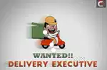 Delivery Executive