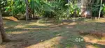 Land for sale 5 cent each