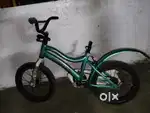 Bycycle,brand saffari, colour green