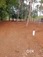 Selling plots in padubadri  padebettu grama 1km from highway