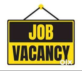 Back Office Executive