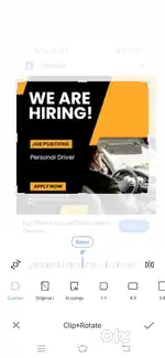 BULK DRIVER WANTED