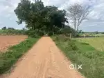 Near gajwel,Clear road Access,Title,Boundary,26 Guntas land for sale