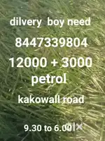 divery boy