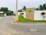 300 Mtr from Annur to Mettupalayam  rd Near by Dtcp Mega Layouts Sales
