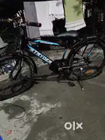 Stryder cycle 24inch