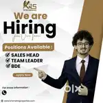 Sales Executive, HR,Team Leader