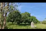Ramanagara - 4 acre mango plantation for sale