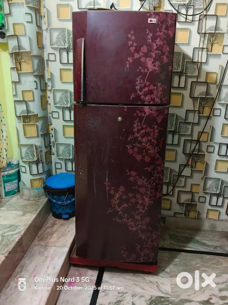 Lg double door fridge