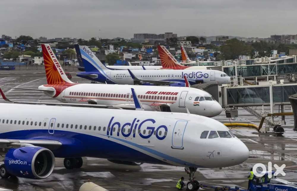 Cabin Crew/ Airport Ground Staff Jobs in Indigo airlines.