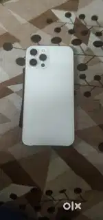 12 PRO MAX 256GB