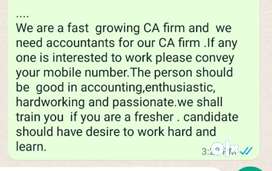 Accountants in CA firm