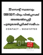 House and Plot