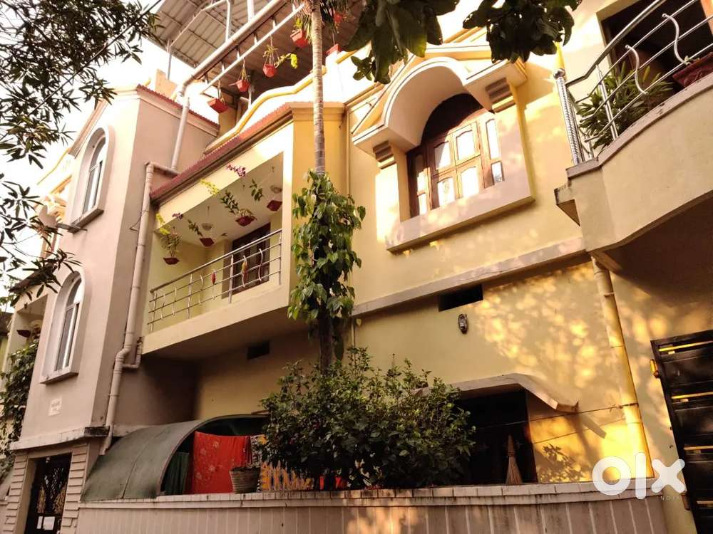 Newly renovated ground floor available for rent. Larger carpet area.