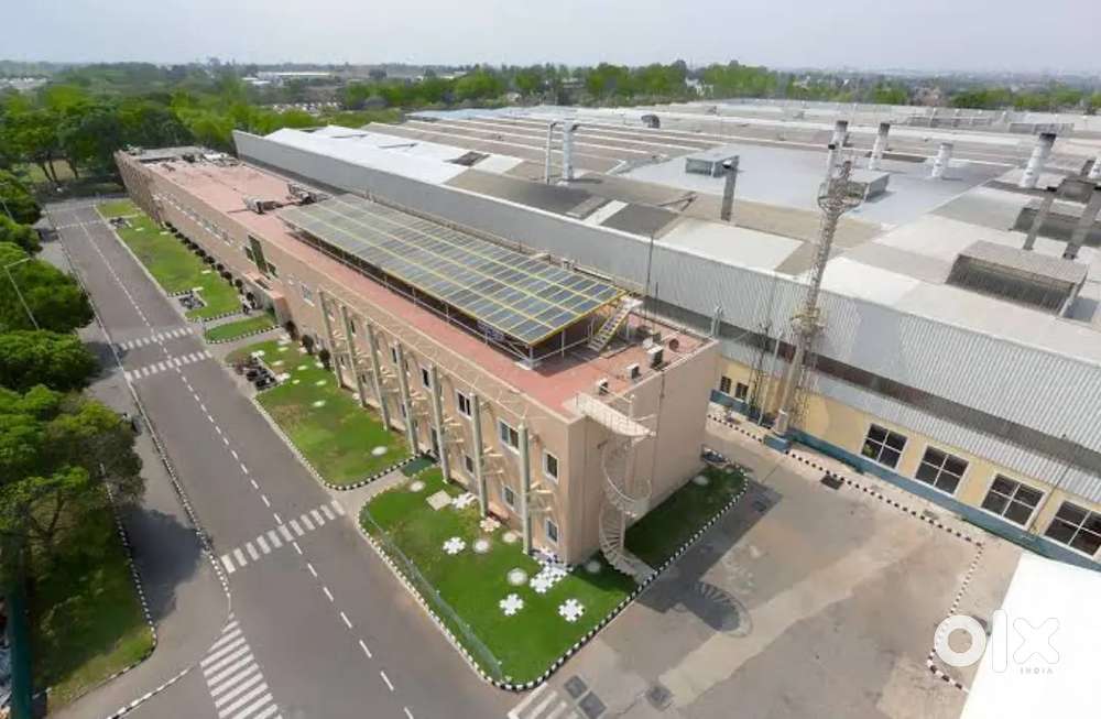 We are hiring for manufacturing company immediately joined