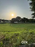 Plot 238 gaj for sale IN PATIALA