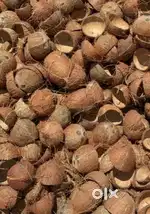 Coconut shell