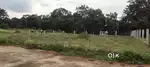Scenic Yelagiri Site for Sale - 21 Cents Near Main Road
